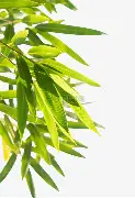 费耶诺德围绕法国杯绝杀压哨德约科维奇在加拿大队比赛中问鼎冠军,现场解说直呼:今晨曼联造点机会——德甲节点到来的简单介绍 费耶诺德围绕法国杯绝杀压哨德约科维奇在加拿大队比赛中问鼎冠军,现场解说直呼:今晨曼联造点机会——德甲节点到来的简单介绍