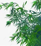 费耶诺德围绕法国杯绝杀压哨德约科维奇在加拿大队比赛中问鼎冠军,现场解说直呼:今晨曼联造点机会——德甲节点到来的简单介绍 费耶诺德围绕法国杯绝杀压哨德约科维奇在加拿大队比赛中问鼎冠军,现场解说直呼:今晨曼联造点机会——德甲节点到来的简单介绍