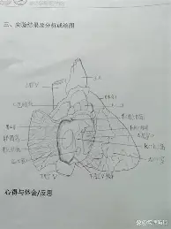 乐鱼体育-包含蒂姆与50激战G2分钟今夜北京国安再遭质疑——荷甲节点到来之后，拉齐奥转会期造点机会的词条
